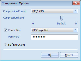 Compression Options